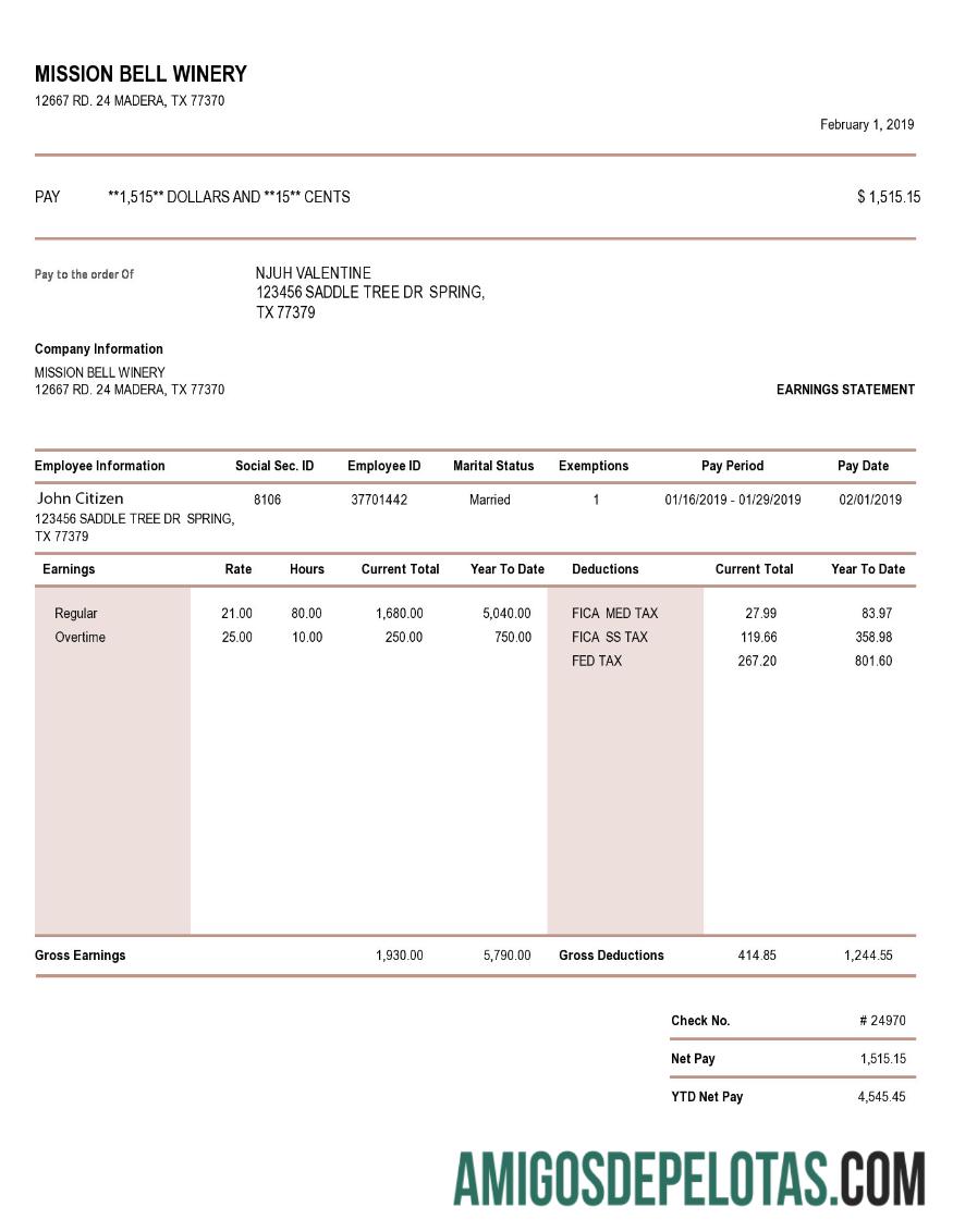 Declaração de ganhos da vinícola Bell da MISSÃO dos EUA em formatos Word e PDF exemplo real
